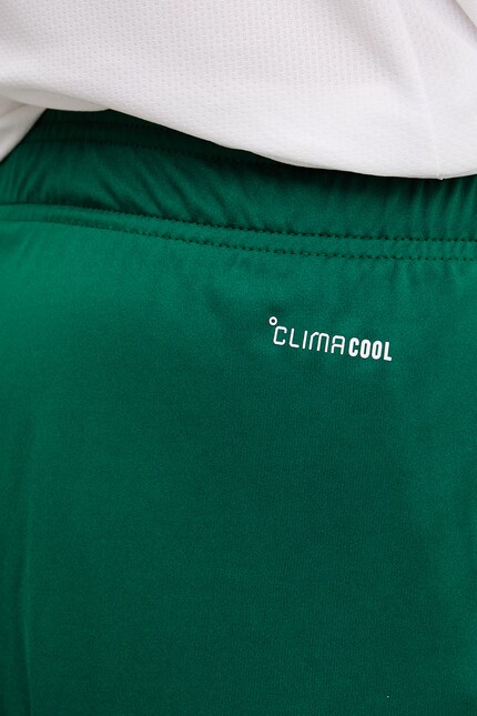 adidas Performance спортивные шорты мужские Entrada26 зелёные