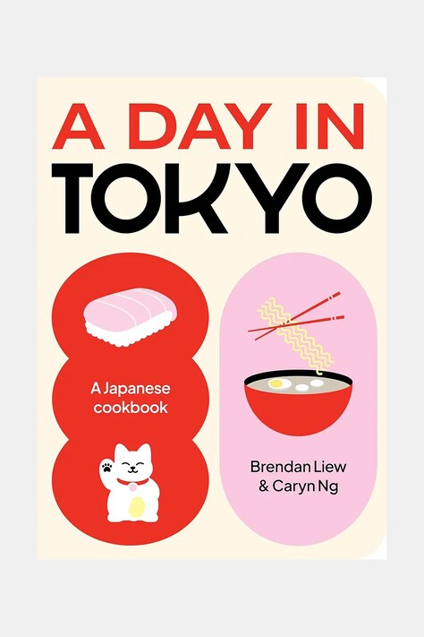 home & lifestyle książka A Day in Tokyo by Brendan Liew, Caryn Ng, English kolor multicolor