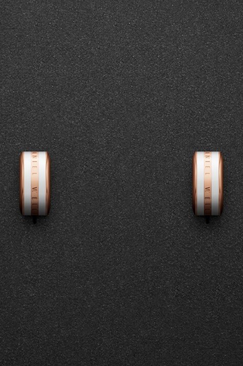 Сережки Daniel Wellington — фото 3