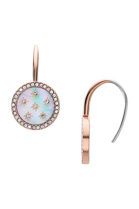 Naušnice Fossil JF04938791