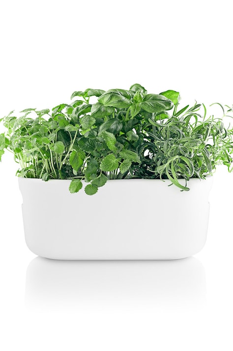 Eva Solo vaso da fiori autoirigante