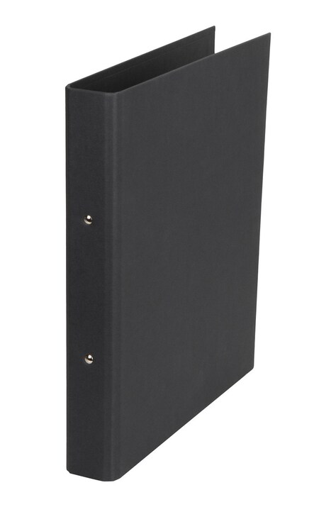 Bigso Box of Sweden сегрегатор RINGO