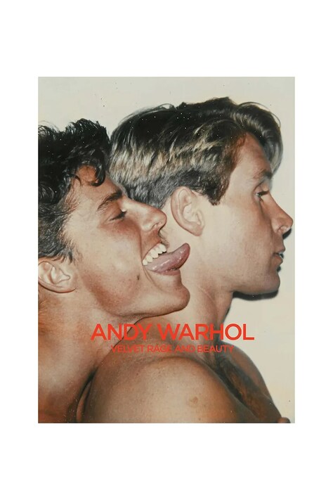 Книга home & lifestyle Andy Warhol - Velvet Rage and Beauty by Klaua Biesenbach, English