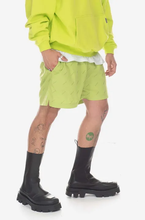Represent swim shorts green color