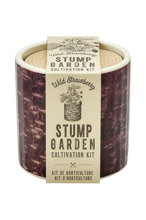 Noted növénytermesztő készlet Stump Garden, Strawberry