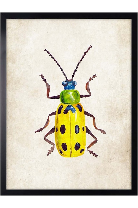decor de perete pe hârtie înrămată 30x40 cm