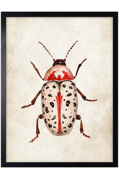 decor de perete pe hârtie înrămată 30x40 cm
