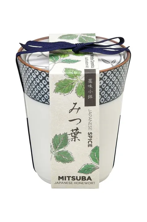 Σετ για την καλλιέργεια ενός φυτού Noted Yakumi, Mitsuba