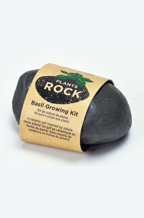 Sada pro pěstování rostlin Noted Plants Rock - Basil