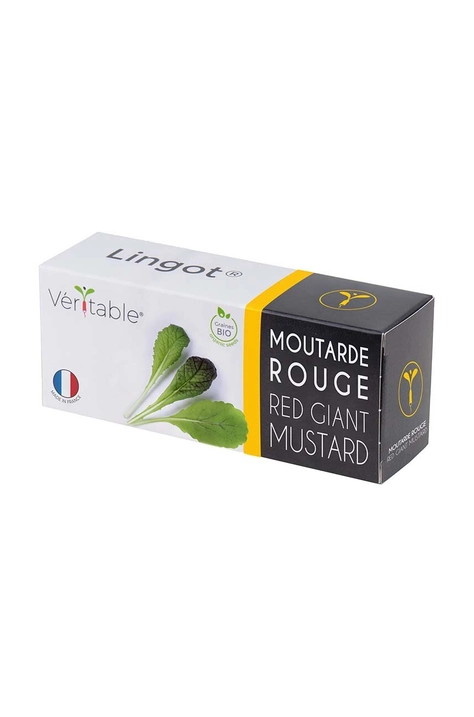 Ένθετο σπόρων Veritable Red Giant Mustard