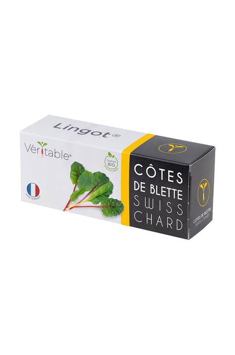 Veritable insertie de seminte Swiss Chard