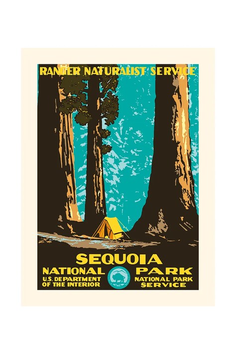 PLAKAT dekoracja ścienna Sequoia 30 x 40 cm kolor multicolor