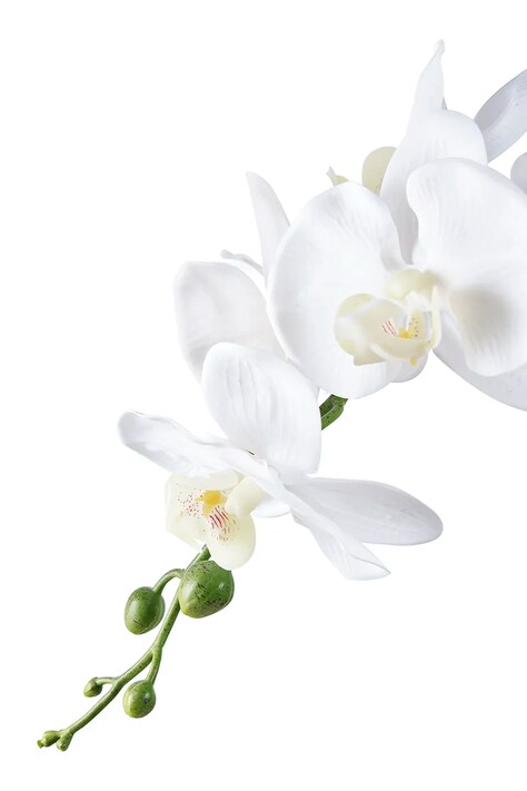 Штучна рослина в горщику House Nordic Orchid — фото 2
