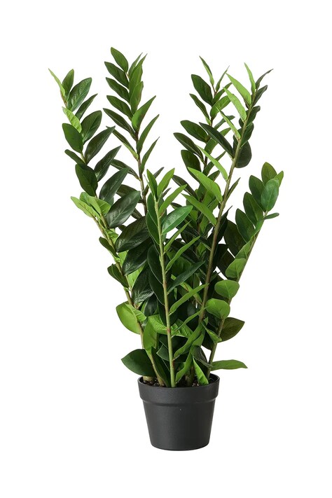 Boltze sztuczna roślina w doniczce Zamioculcas 76 cm kolor zielony
