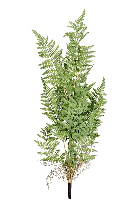 Umelá rastlina Bizzotto Ailen Green zelená farba
