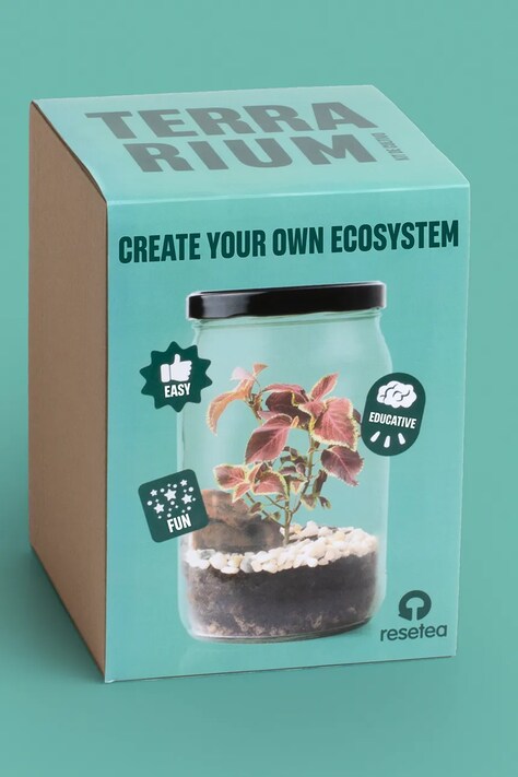RESETEA mini szklarnia Terrarium 16 x 21,5 cm kolor multicolor