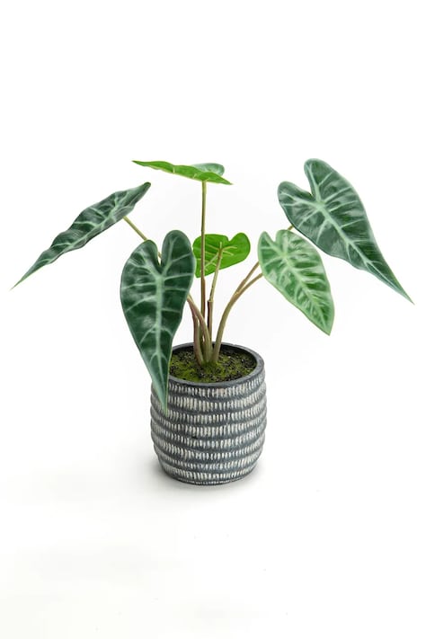 home & lifestyle sztuczna roślina w doniczce 30 x 27 cm kolor zielony 155816