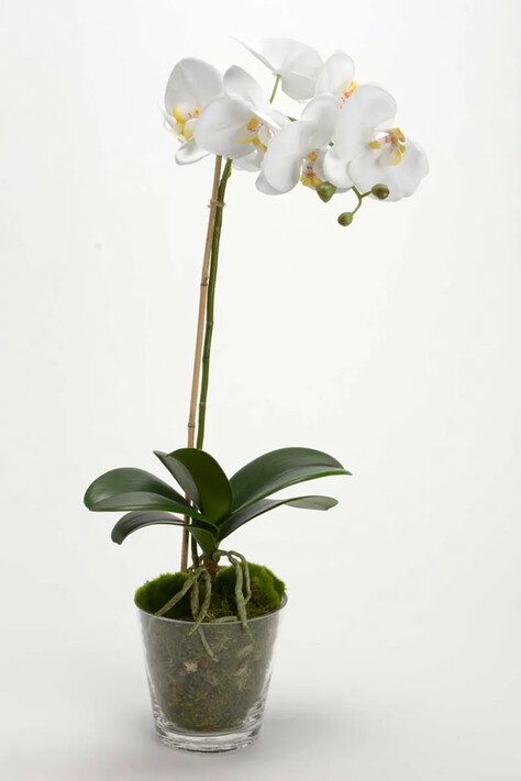 home & lifestyle sztuczna roślina w doniczce 63.5 cm kolor biały 126316