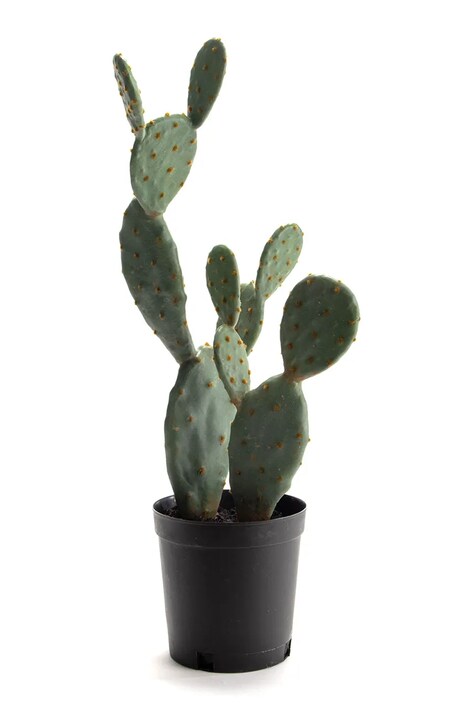 home & lifestyle sztuczna roślina w doniczce 62 cm kolor zielony 155908