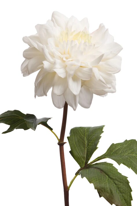 home & lifestyle sztuczny kwiat 52 cm kolor biały 167807