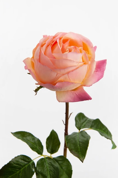 home & lifestyle sztuczny kwiat 52 cm kolor pomarańczowy 149314