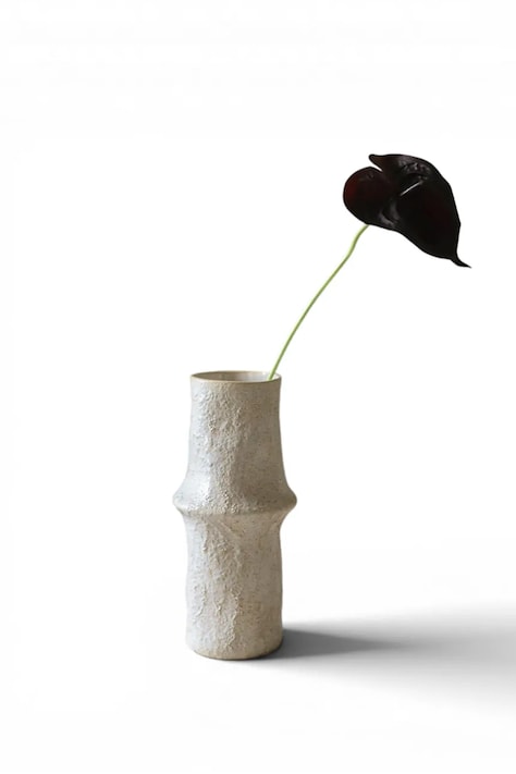 Botané Sztuczna roślina dekoracyjna 65 x 10 cm BOT-BL-ANT-002
