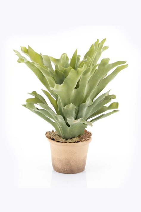 By-Boo искусственное растение декоративное 403105