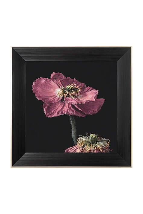 home & lifestyle decorarea peretelui în cadru ARTISTIC FLOWER NO.1 50 x 50 cm