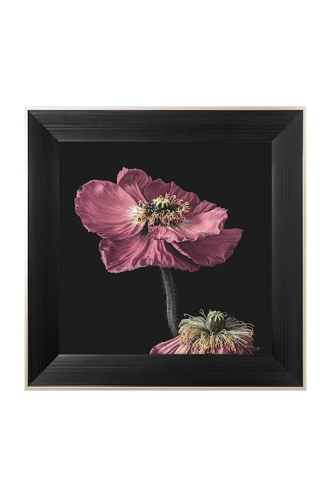 home & lifestyle dekoracja ścienna w ramie ARTISTIC FLOWER NO.1 50 x 50 cm kolor multicolor