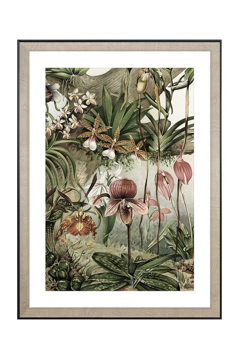 Nástenná dekorácia v ráme home & lifestyle TROPICAL ORCHIDS 50 x 70 cm viac farieb
