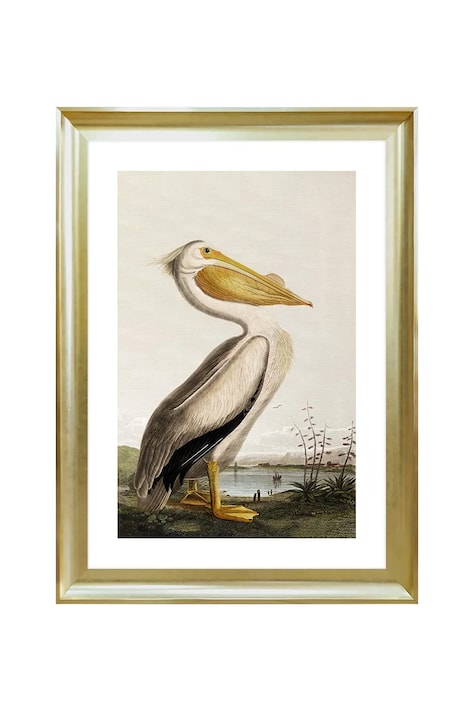 home & lifestyle dekoracja ścienna w ramie PELICAN OVER THE WATER 50 x 70 cm kolor multicolor