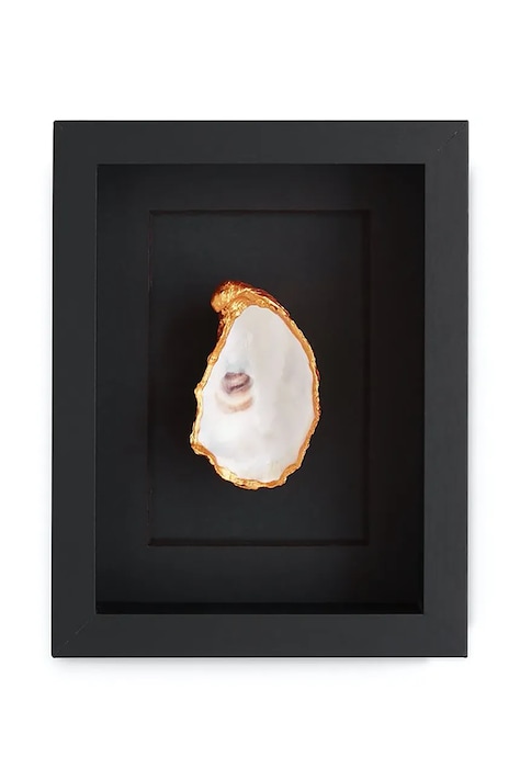 Maria el Mar dekoracja ścienna w ramie Single Oyster 22 x 17 cm kolor czarny