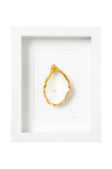 Maria el Mar dekoracja ścienna w ramie Single Oyster 22 x 17 cm kolor biały
