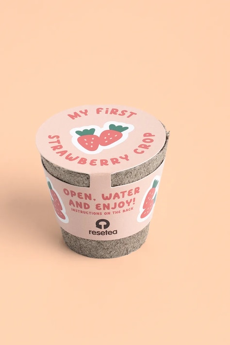 RESETEA set pentru cultivarea unei plante My First Strawberry 6,3 x 5,8 cm