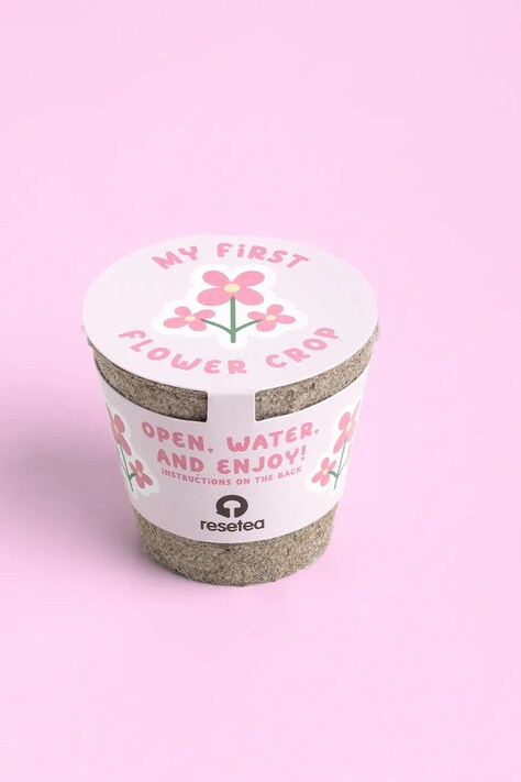 RESETEA zestaw do uprawy rośliny My first flower 6,3 x 5,8 cm kolor multicolor