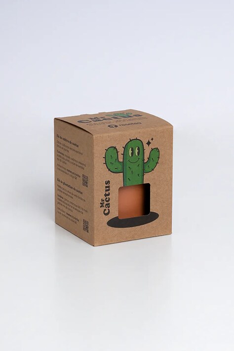 RESETEA zestaw do uprawy rośliny Mr Cactus 8,5 x 10,7 x 8,5 cm kolor multicolor