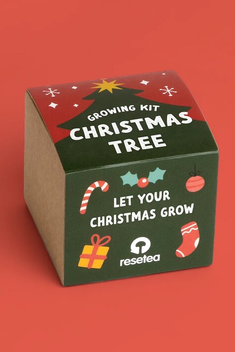 RESETEA zestaw do uprawy rośliny Christmas Tree 7 x 6,5 x 7 cm kolor multicolor