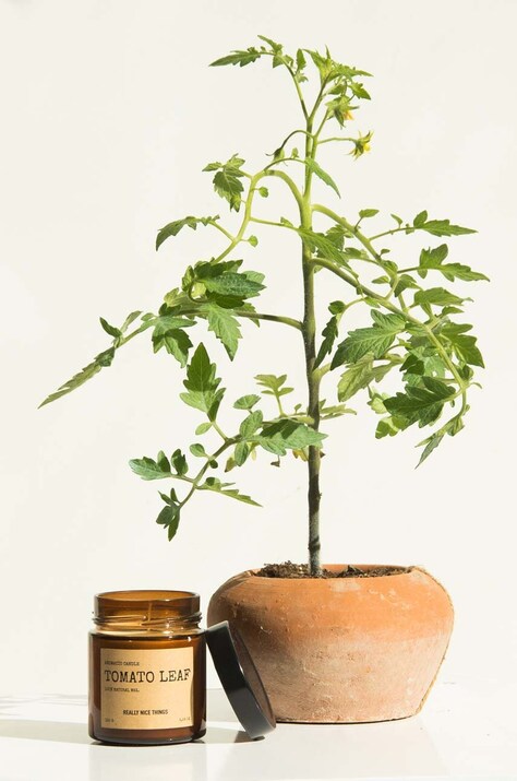 Набір ароматичних свічок Really Nice Things Tomato Leaf & Oregano 2 x 100 g 2 шт. — фото 2