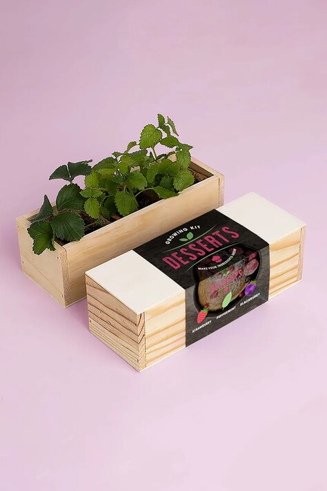 RESETEA zestaw do uprawy roślin Desserts Growing Kit 21 x 7,8 x 6,5 cm kolor multicolor Erst165