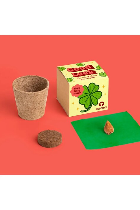 RESETEA zestaw do uprawy rośliny Good luck 7 x 6,5 x 7 cm kolor multicolor Erst665