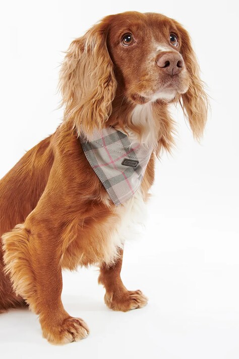 Barbour bandana dla pupila Tartan Dog kolor różowy