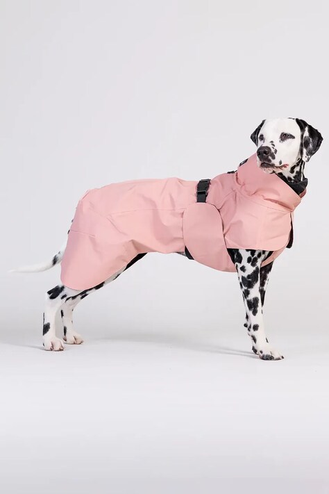 PAIKKA płaszcz przeciwdeszczowy dla psa Visibility Raincoat 56 x 45 x 0,9 cm kolor różowy 1042149