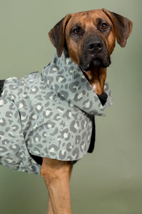 PAIKKA płaszcz przeciwdeszczowy dla psa Visibility Raincoat 56 x 45 x 0,9 cm kolor multicolor 1045119