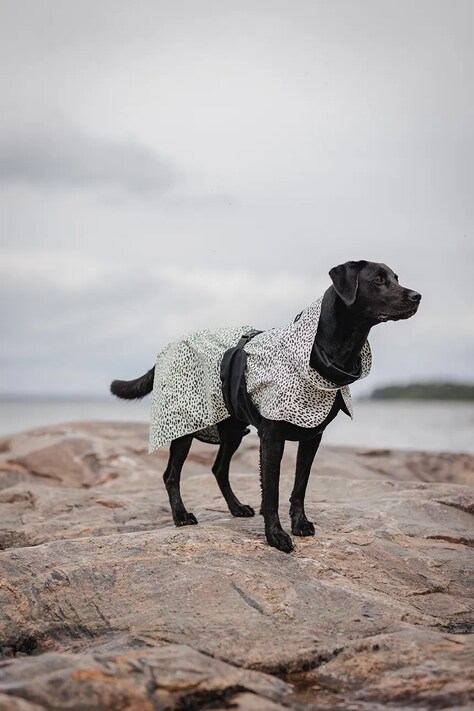 PAIKKA płaszcz przeciwdeszczowy dla psa Raincoat 2.0 48 x 38 x 0,9 cm kolor multicolor 1049050