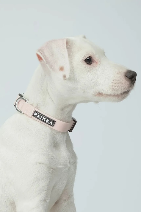 PAIKKA obroża fluorescencyjna dla psa Glow Collar 19 x 2 x 0,5 cm kolor różowy 1032014