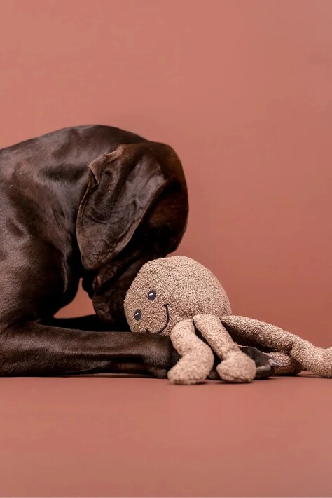 PAIKKA zabawka dla psa Bouclé Octopus 35 cm kolor beżowy 1051010