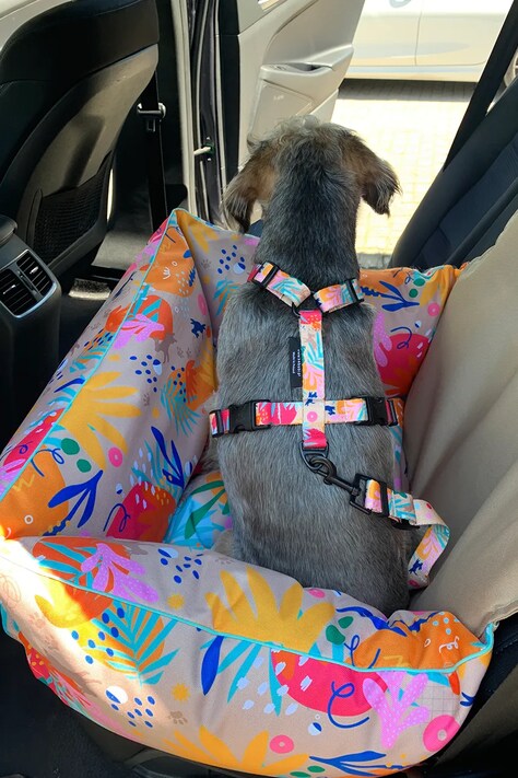 Bebobi fotelik samochodowy dla psa Ero Soft 56 x 40 x 25 cm kolor multicolor EKMM23B