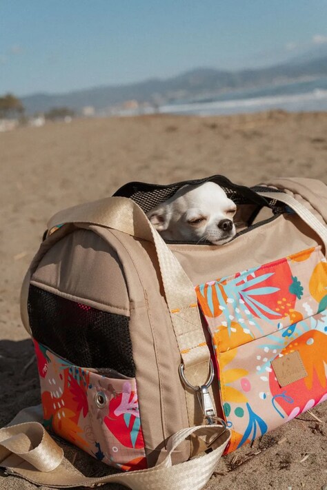 Bebobi transporter dla pupila 43 x 23 x 20 cm TTKAS23B