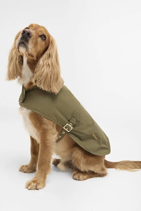Kabát pre psa Barbour Transport zelená farba, DCO0094GN31