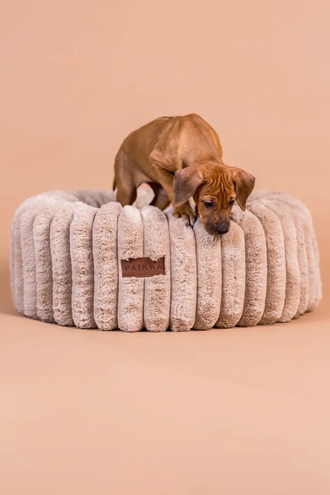 PAIKKA legowisko dla psa 125 cm 1021031